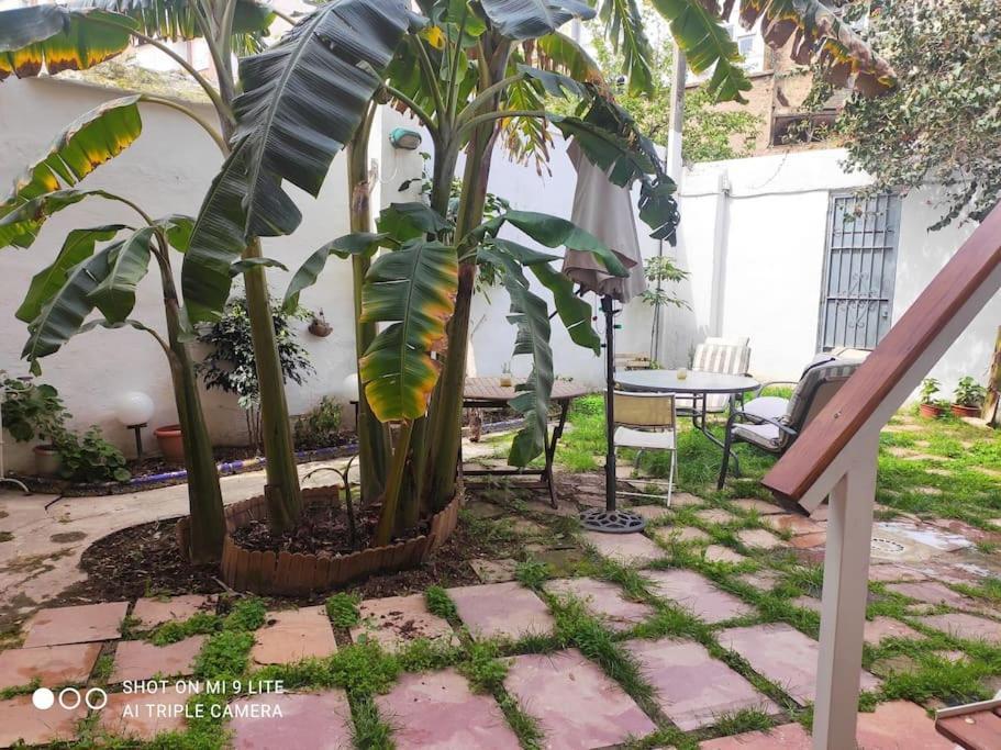 Ruzafa Terrace Oasis: Cozy A/C Apartment with Garden Access Valencia Exterior photo